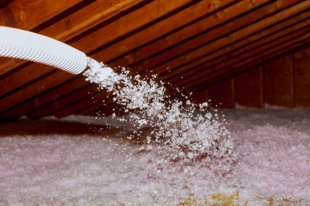 Best Commercial Insulation in Suncoast Estates, FL