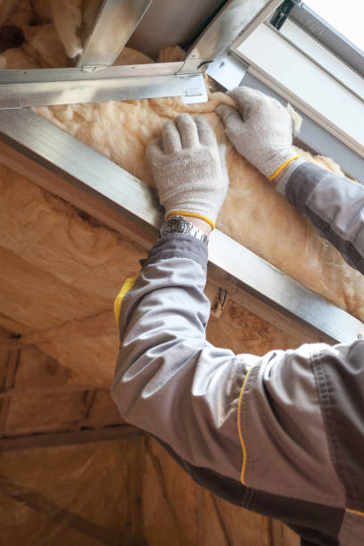 Best Residential Insulation in Suncoast Estates, FL