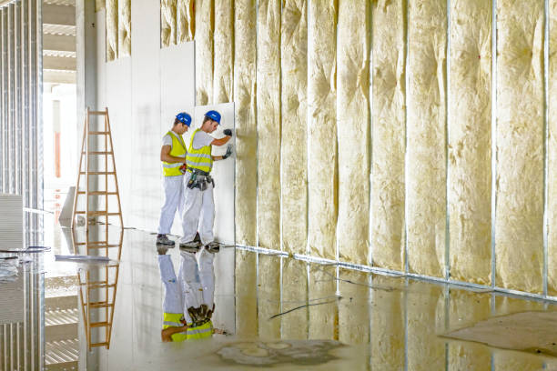 Best Types of Insulation in Suncoast Estates, FL